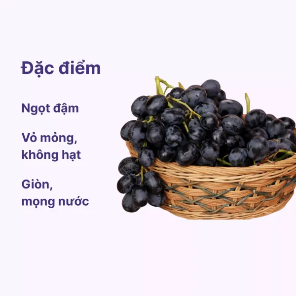 Nho đen Mỹ không hạt hộp 450g