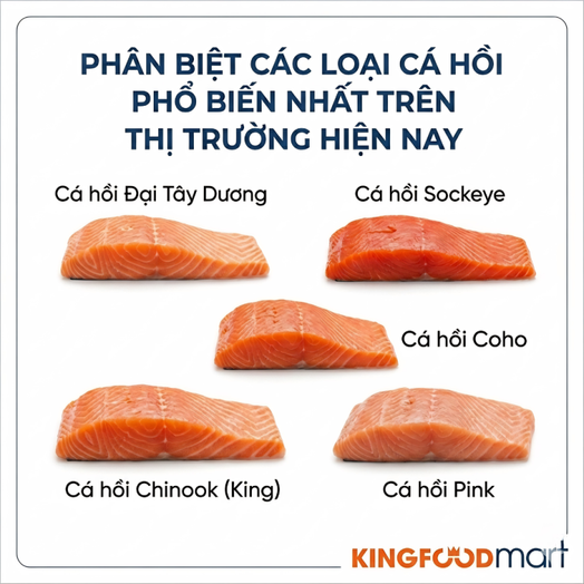 Phân biệt các loại cá hồi phổ biến nhất trên thị trường Việt Nam hiện nay