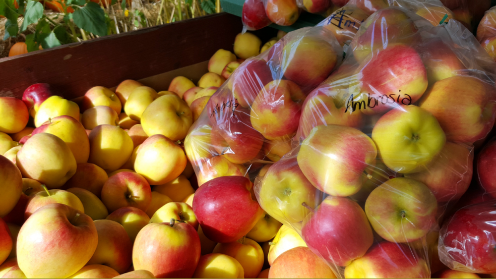 Táo Ambrosia Kingfoodmart