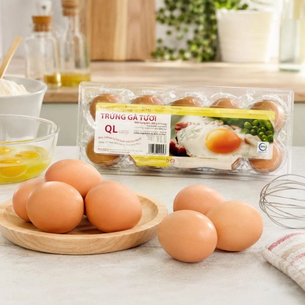QL Vietnam Agroresources: Trang trại trứng gà hiện đại trong nhóm Tick Xanh Kingfoodmart