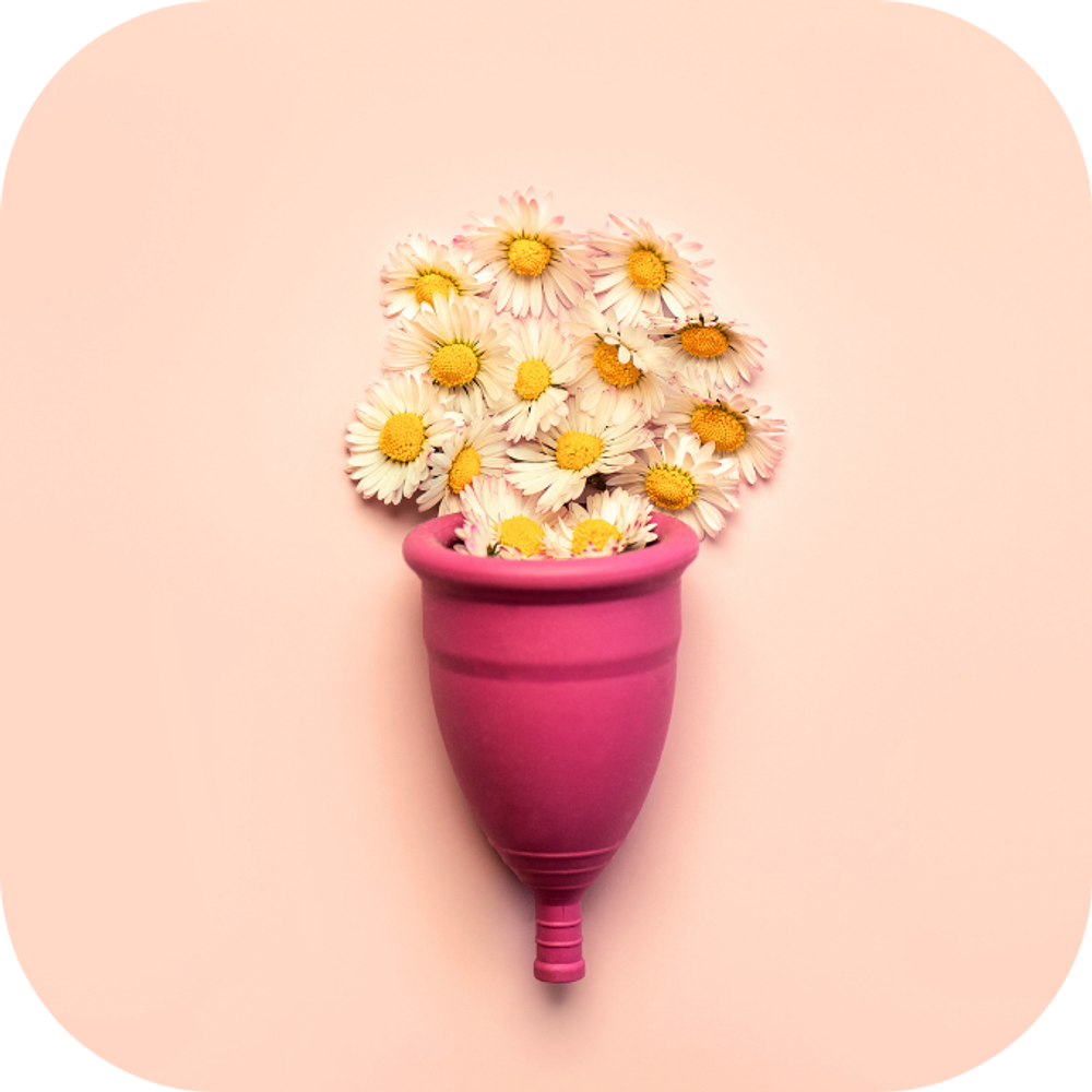 Kinh nguyet Kingfoodmart