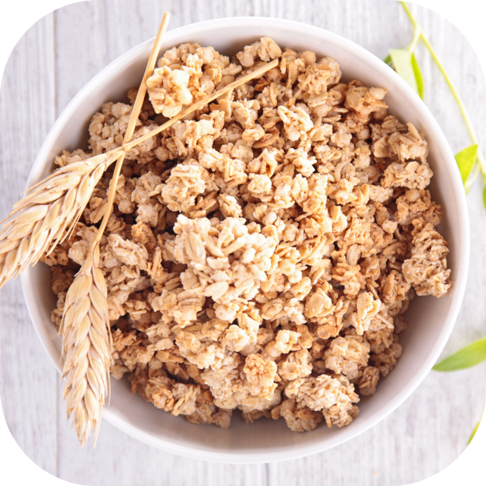 Ngu coc Kingfoodmart