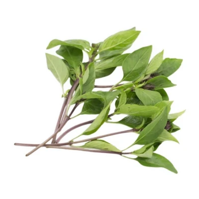 Húng quế VietGAP gói 50g