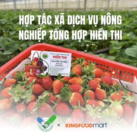HTX Hiền Thi có gì đặc biệt? Vì sao đạt Tick Xanh Trách Nhiệm tại Kingfoodmart