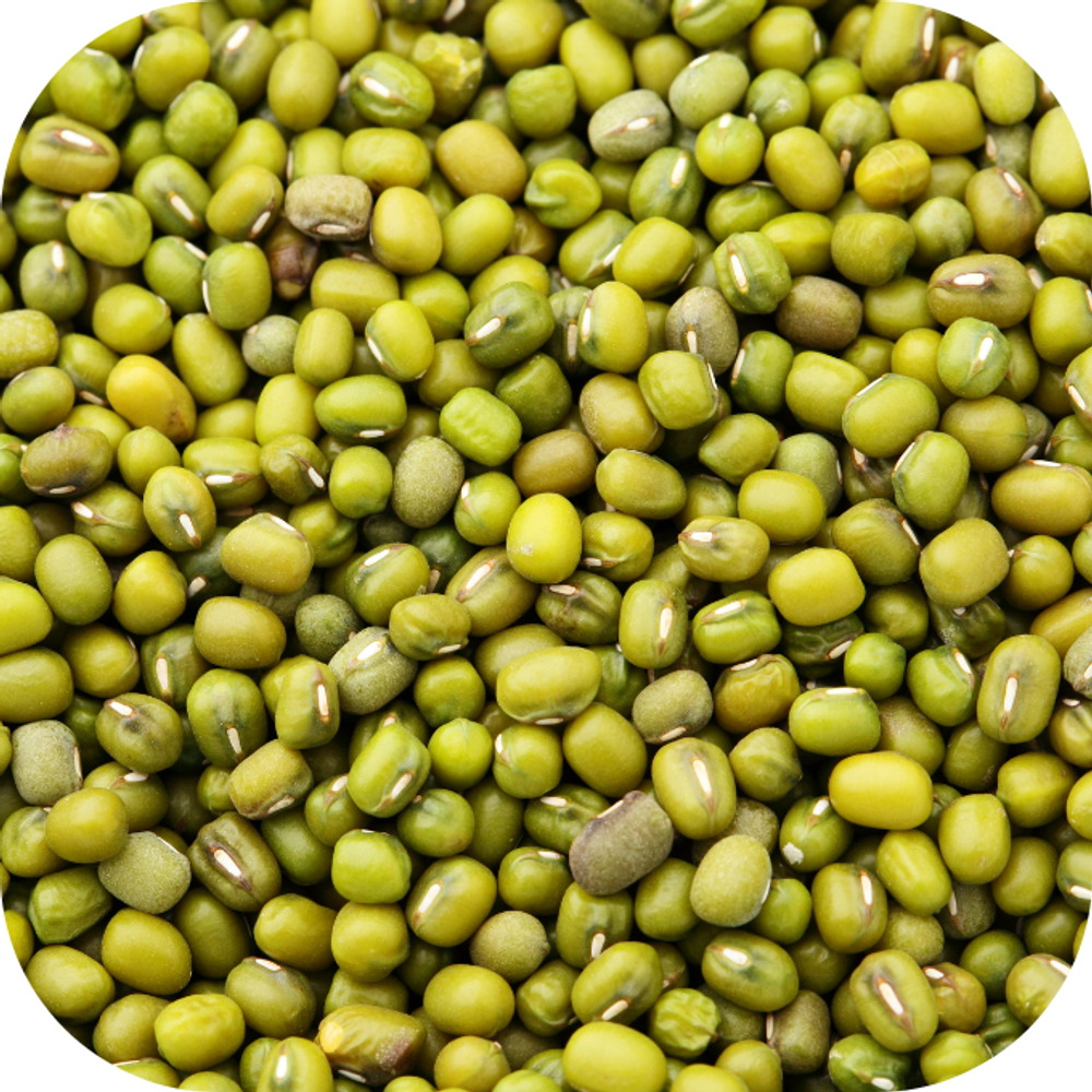 Đậu xanh Kingfoodmart