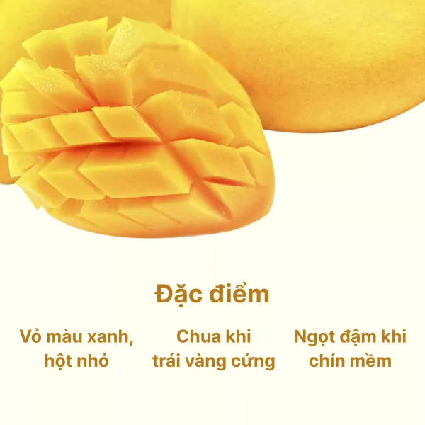 Xoài cát chu vàng 1Kg