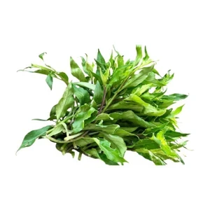 Rau rừng gói 300g