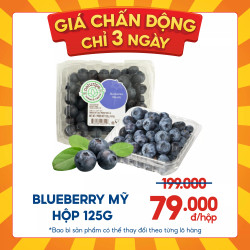Blueberry Mỹ hộp 125g (1 Hộp)