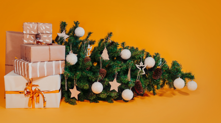 Tận dụng cây thông sau Noel với 3 mẹo tái chế biến chúng thành cây thông Noel độc đáo cho mùa sau