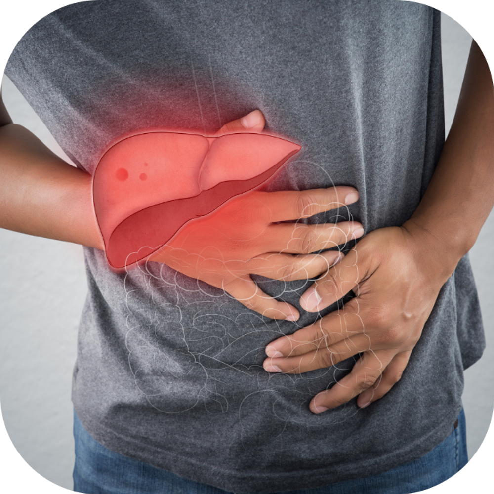 sức khỏe gan kingfoodmart