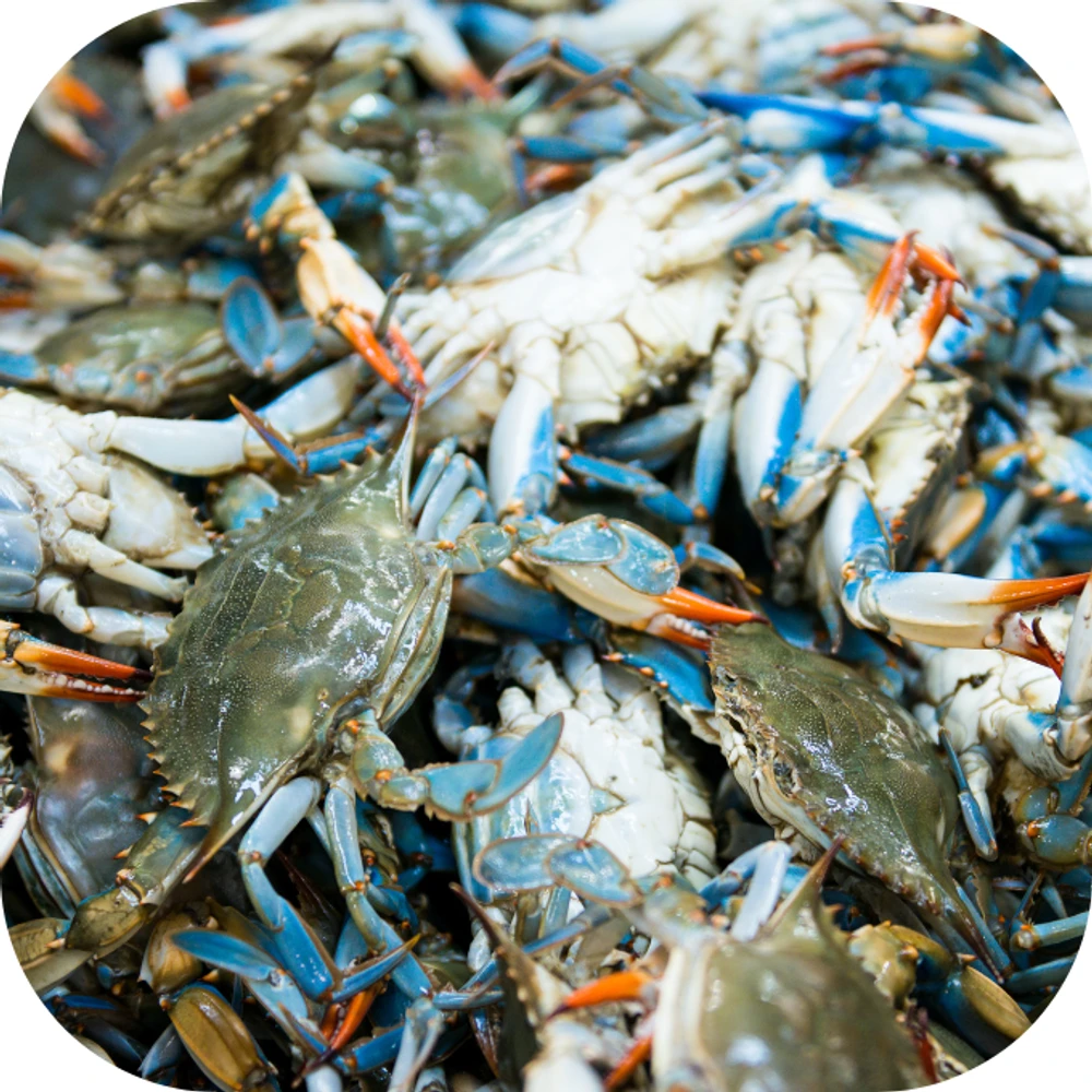 Ghẹ Kingfoodmart