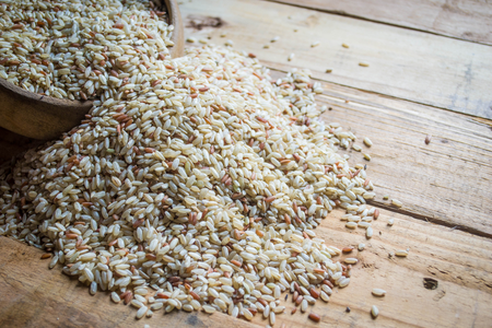 Cách bảo quản và xử lý gạo khi bị nhiễm mốc