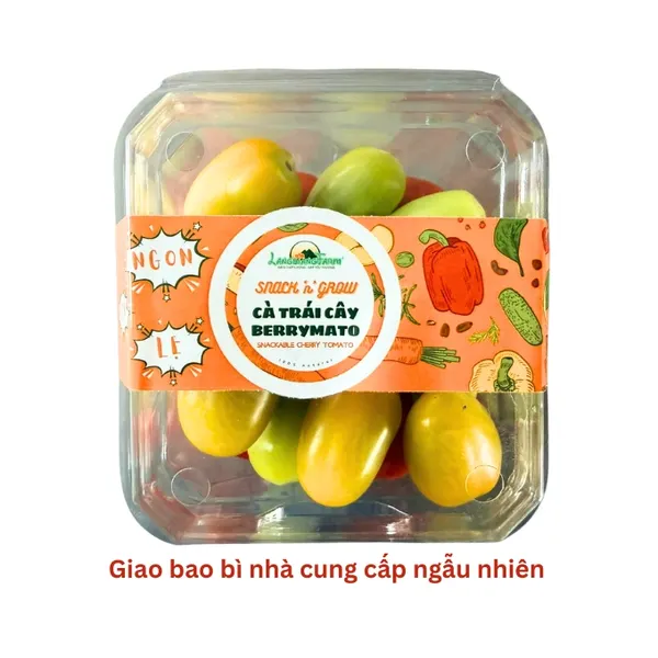 Cà chua trái cây mix hộp 250g