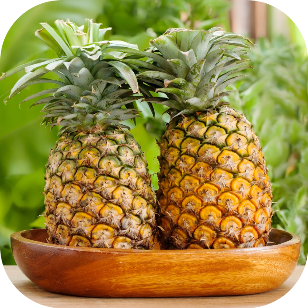 Trai cay Kingfoodmart