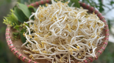 4 trường hợp không nên ăn giá đỗ để tránh gây hại cho sức khỏe