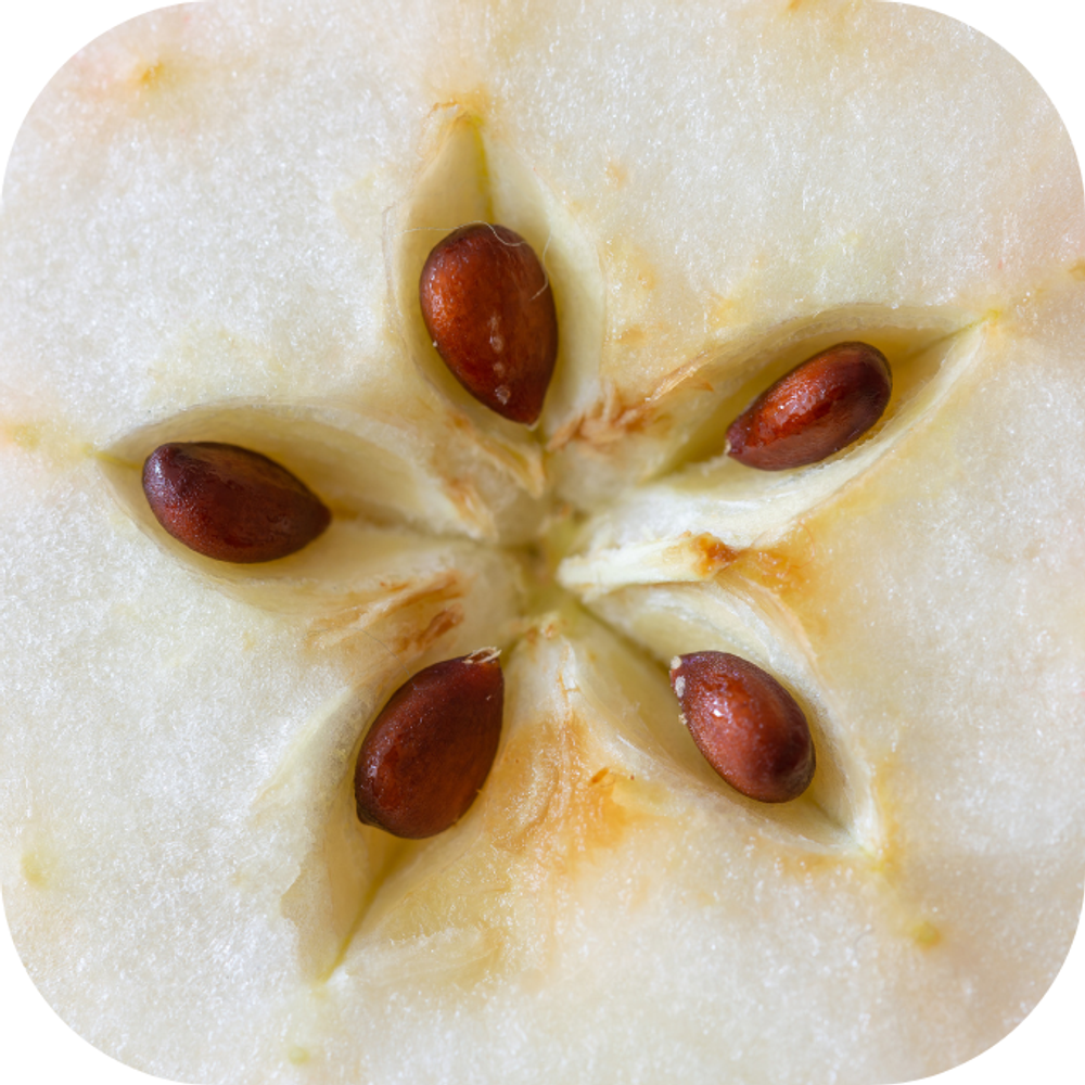 Hạt táo Kingfoodmart