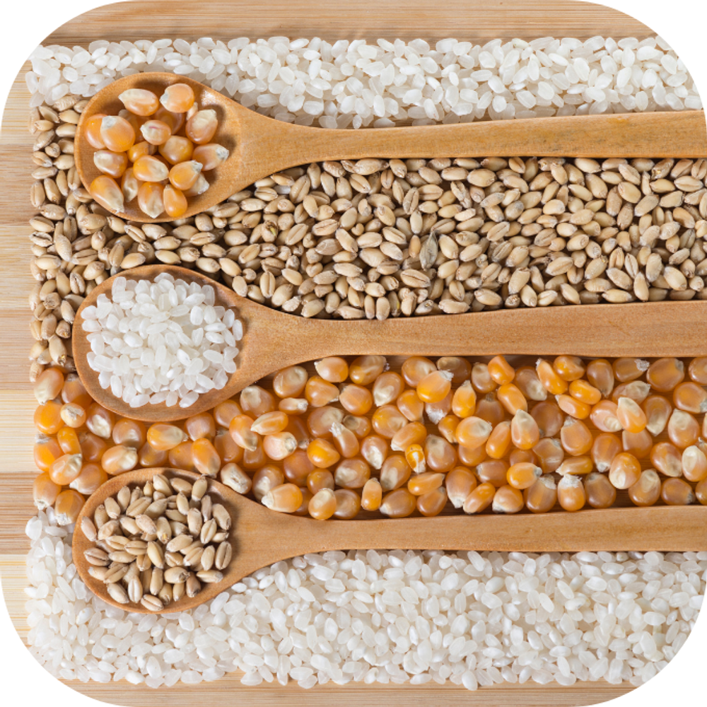 Gạo và ngũ cốc Kingfoodmart