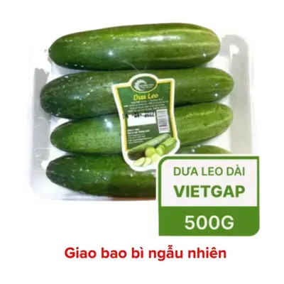 Dưa leo vỉ 500g