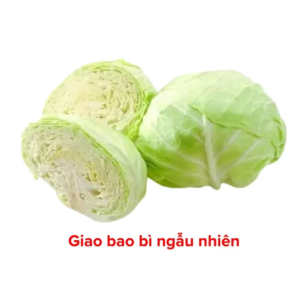 Bắp cải trắng Đà Lạt VietGAP 800g-1.1Kg