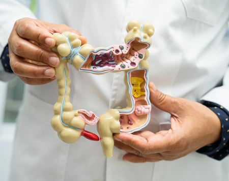 Lời khuyên chọn thực phẩm đúng cách cho sức khoẻ tiêu hoá