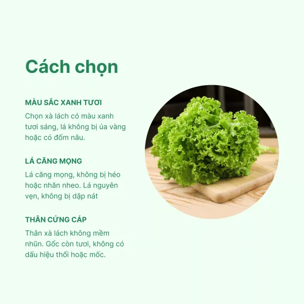 Xà lách lô lô thủy canh VietGAP gói 200g