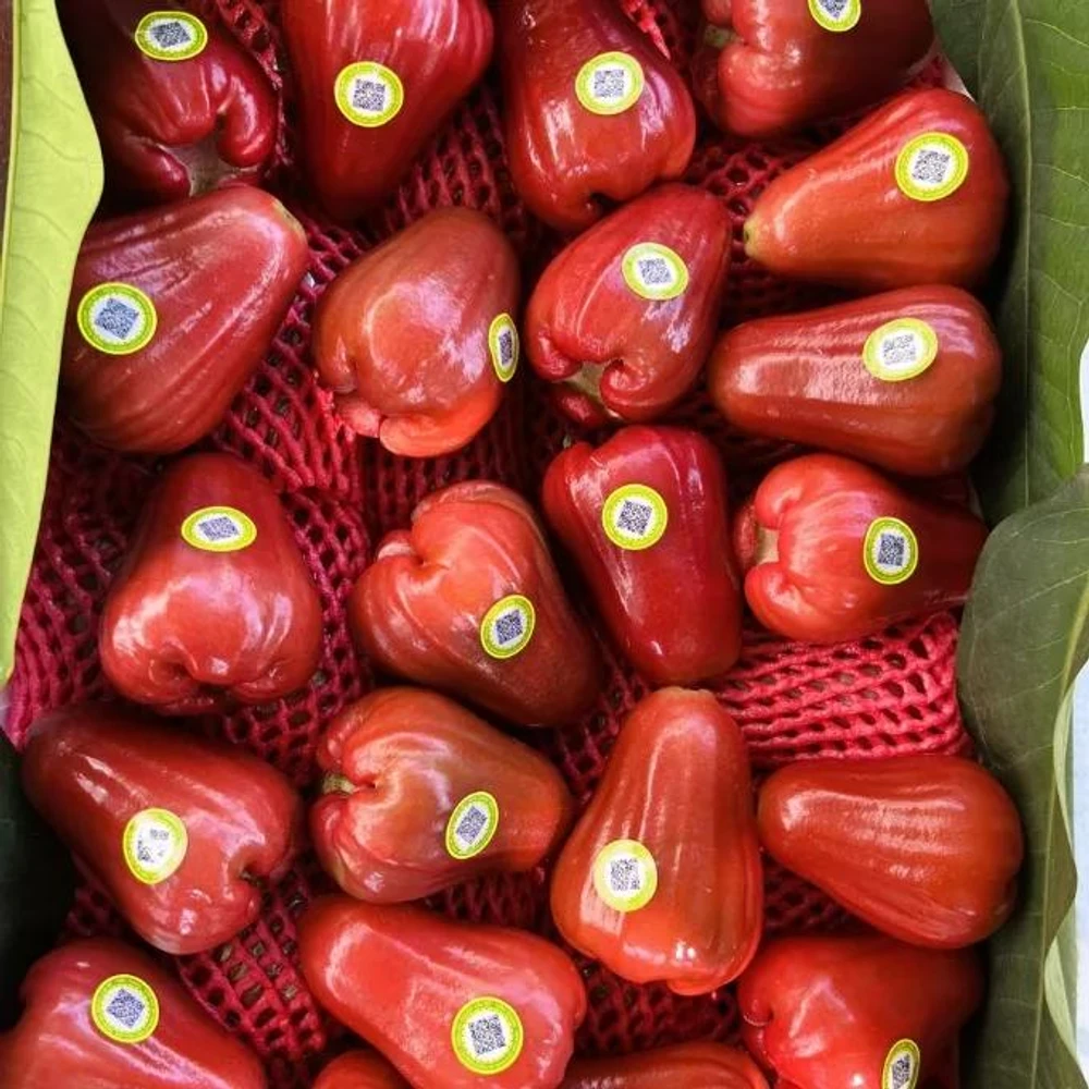  trái cây Tick Xanh tươi ngon, an toàn có bán tại Kingfoodmart