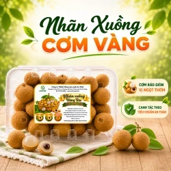 Nhãn xuồng cơm vàng An Phát hộp 1kg