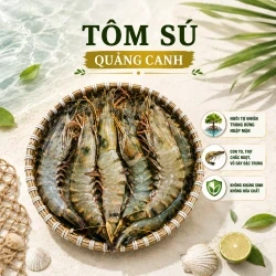 Tôm sú quảng canh size lớn (12-15 con/kg) túi 1Kg