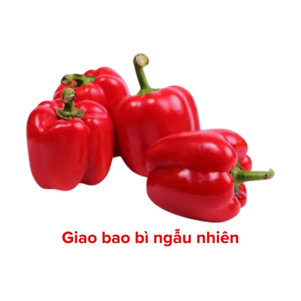 Ớt chuông đỏ Đà Lạt VietGAP quả từ 200g