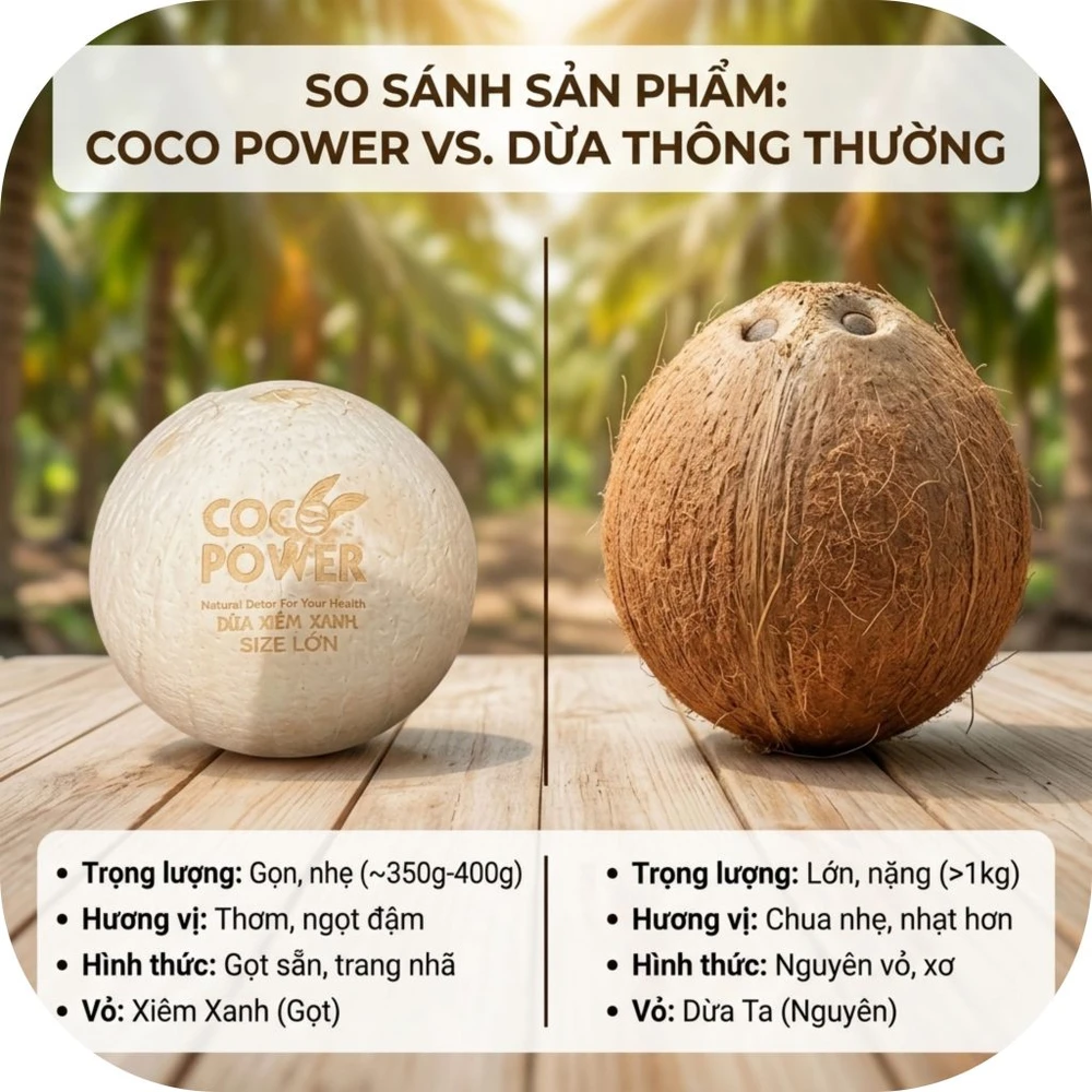 Coco-Power-10