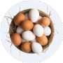 Trứng gia cầm