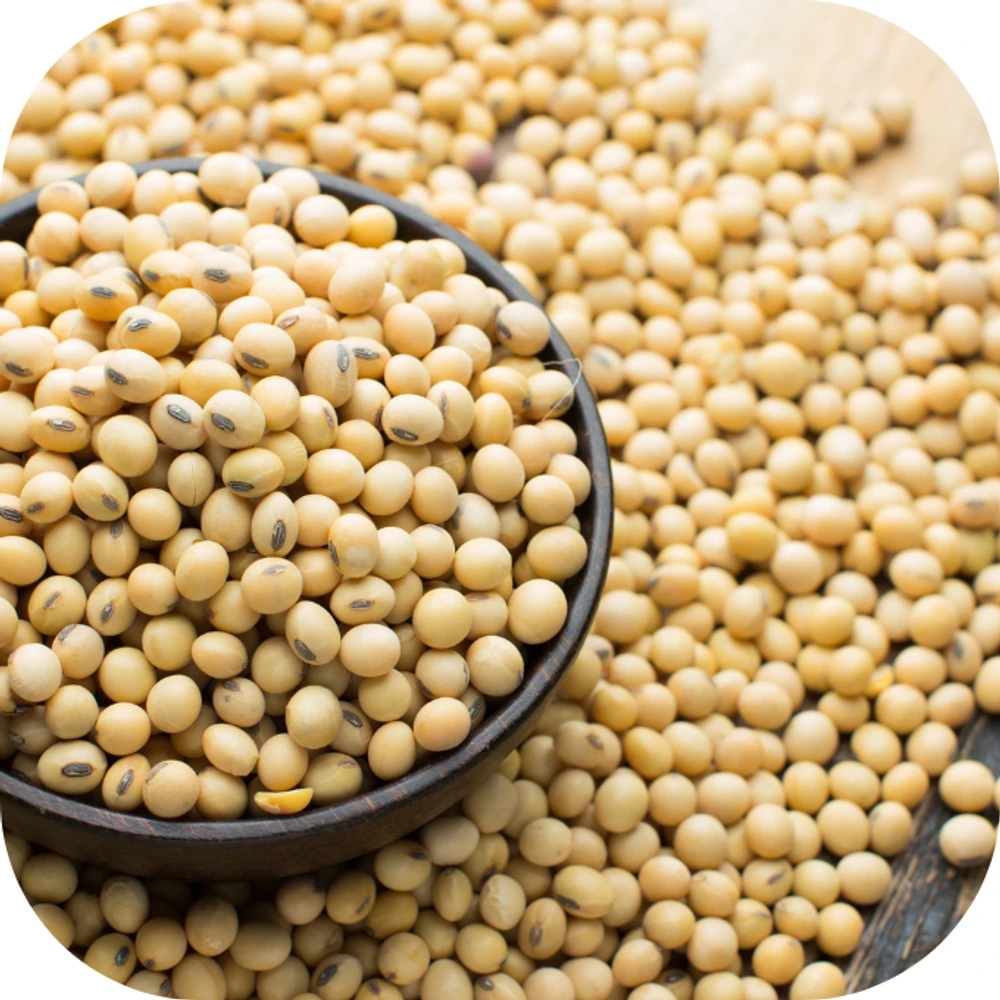 Protein Kingfoodmart