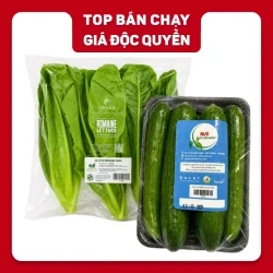 Combo xà lách romaine 150g & Dưa leo mini Vietgap 500g