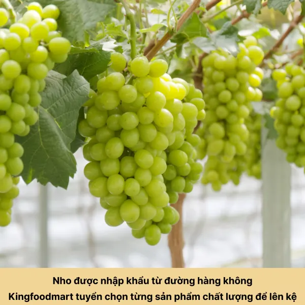 Nho xanh Mỹ không hạt hộp 150g
