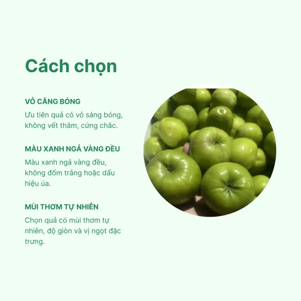 Táo xanh Ninh Thuận hộp 1kg