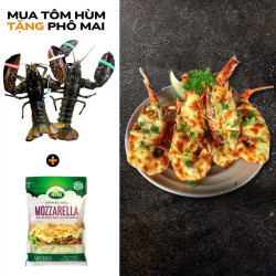 Combo 2 con tôm hùm Alaska tặng phô mai Mozzarella