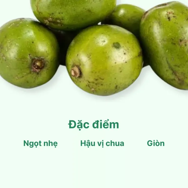 Cóc cày vỉ 5 trái - Chuỗi siêu thị thực phẩm tươi ngon, chất lượng