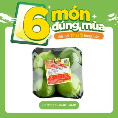 Chanh không hạt Global Gap vỉ 250g