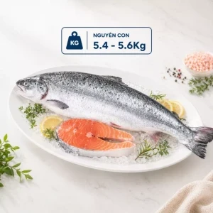 Thùng cá hồi Na Uy nguyên con 5.4-5.6Kg