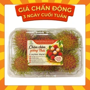 Chôm chôm giống Thái An Phát hộp 900g