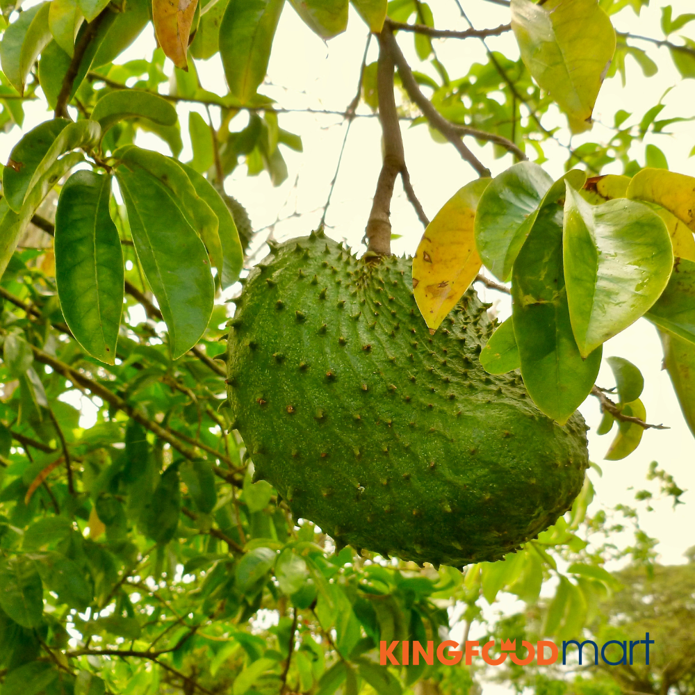 Giá trị dinh dưỡng của mãng cầu xiêm giàu vitamin C, chất xơ và kali, lý tưởng cho bữa ăn lành mạnh hàng ngày. 
