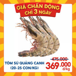 Tôm sú quảng canh 1kg (20-25 con/kg)