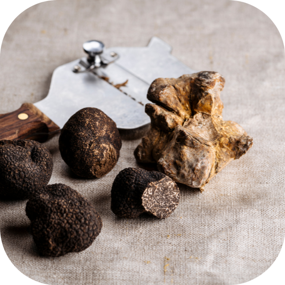 Nấm Truffle Kingfoodmart