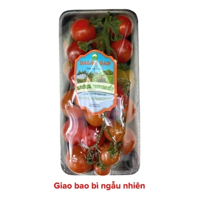 Cà chua chùm Roseberry Hasfarm hộp 250g