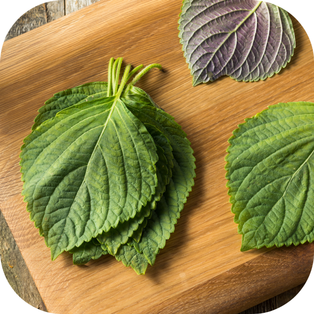 Ô mai mơ lá tía tô Kingfoodmart