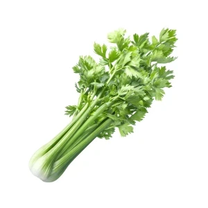 Cần tây Đà Lạt gói 500g