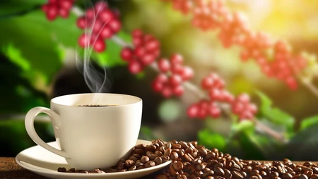 Thời điểm uống cà phê tốt cho sức khoẻ