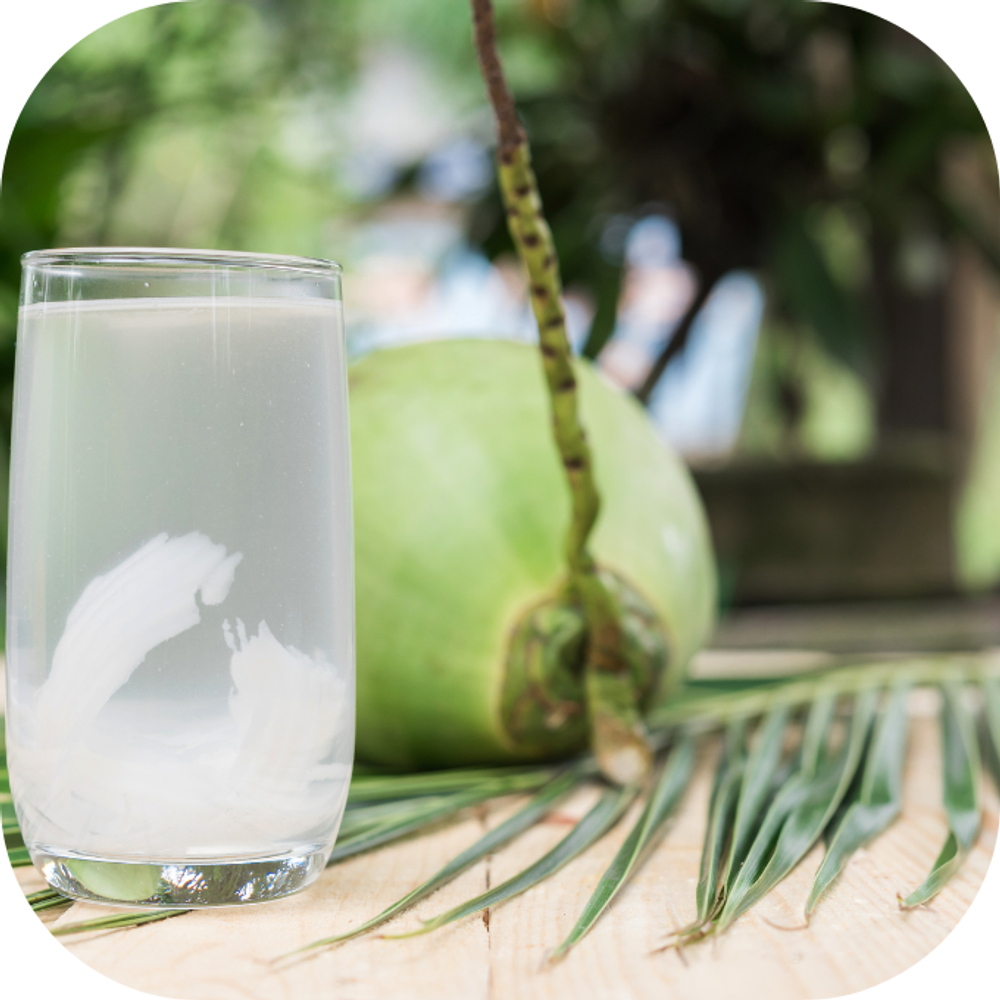 Nước dừa với lá trầu không Kingfoodmart