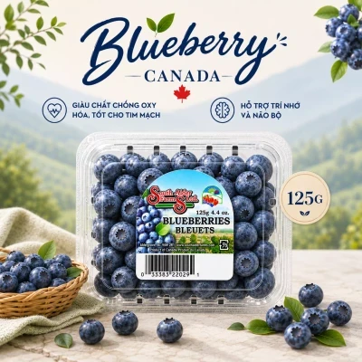 Blueberry Canada hộp 125g