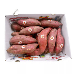 Thùng khoai lang giống Nhật 2.5KG (1 Thùng)